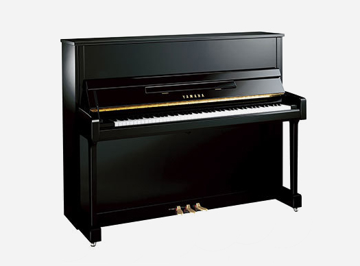 济宁xk体育琴行