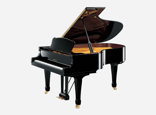 济宁xk体育琴行